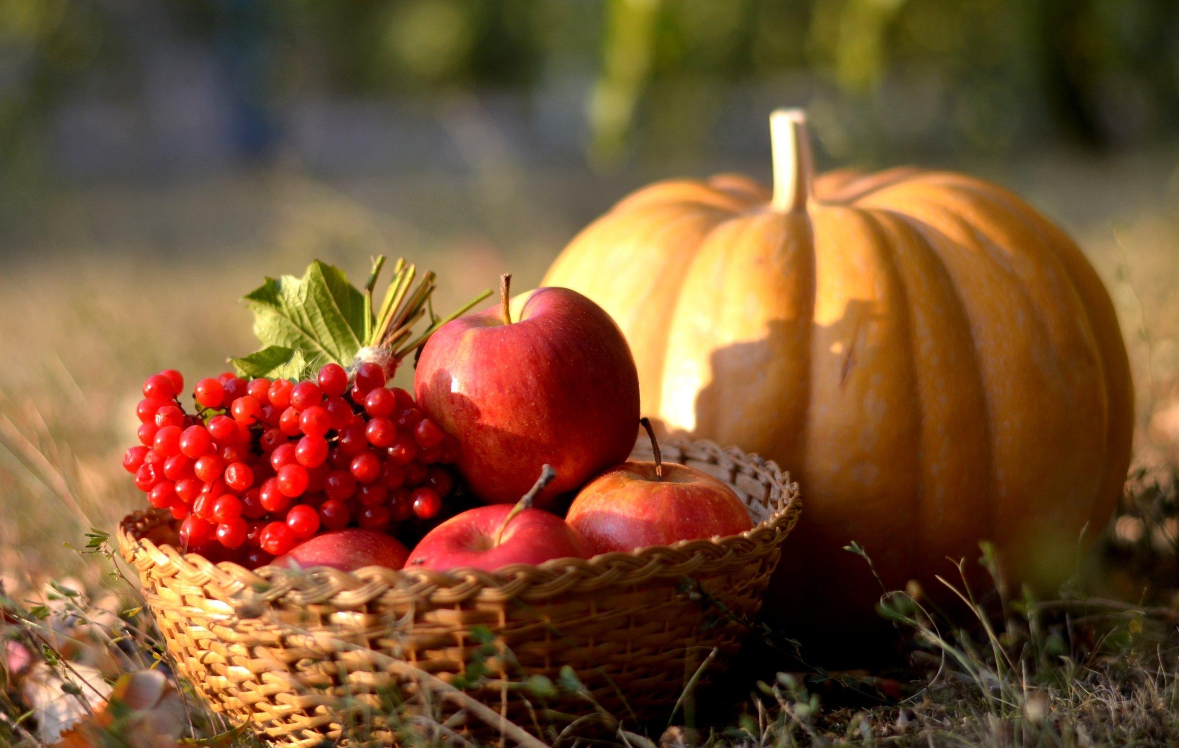 Лето тыква. Дары осени. Осенние овощи и фрукты. Осень фрукты. Осенний урожай.